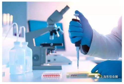 醫(yī)療器械主要領(lǐng)域發(fā)展現(xiàn)狀分析